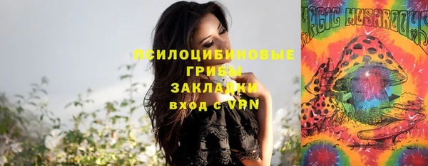 герыч Алзамай