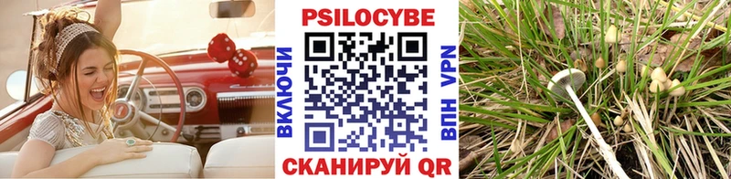Псилоцибиновые грибы мицелий  цены   Сельцо 